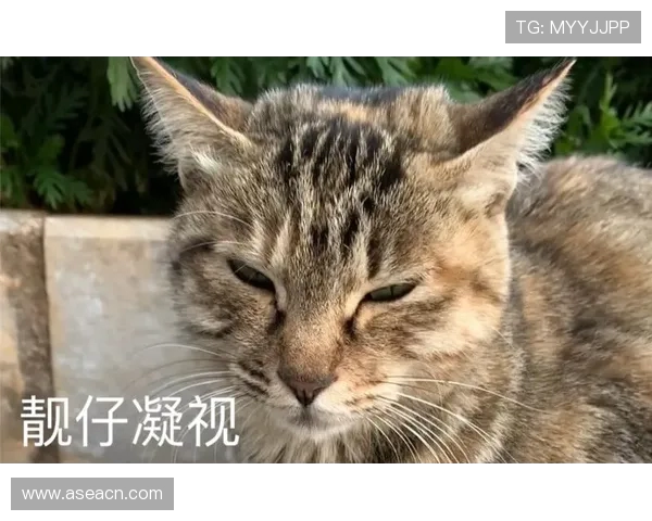 灏忚垍瀛愭搨鍙版縺鎴橈紒缃楀攼鍦哄鎬ュ埌 鈥滅綒绔欌€濓紝缃戝弸锛氬澶瘮閫夋墜杩樼揣寮狅紒